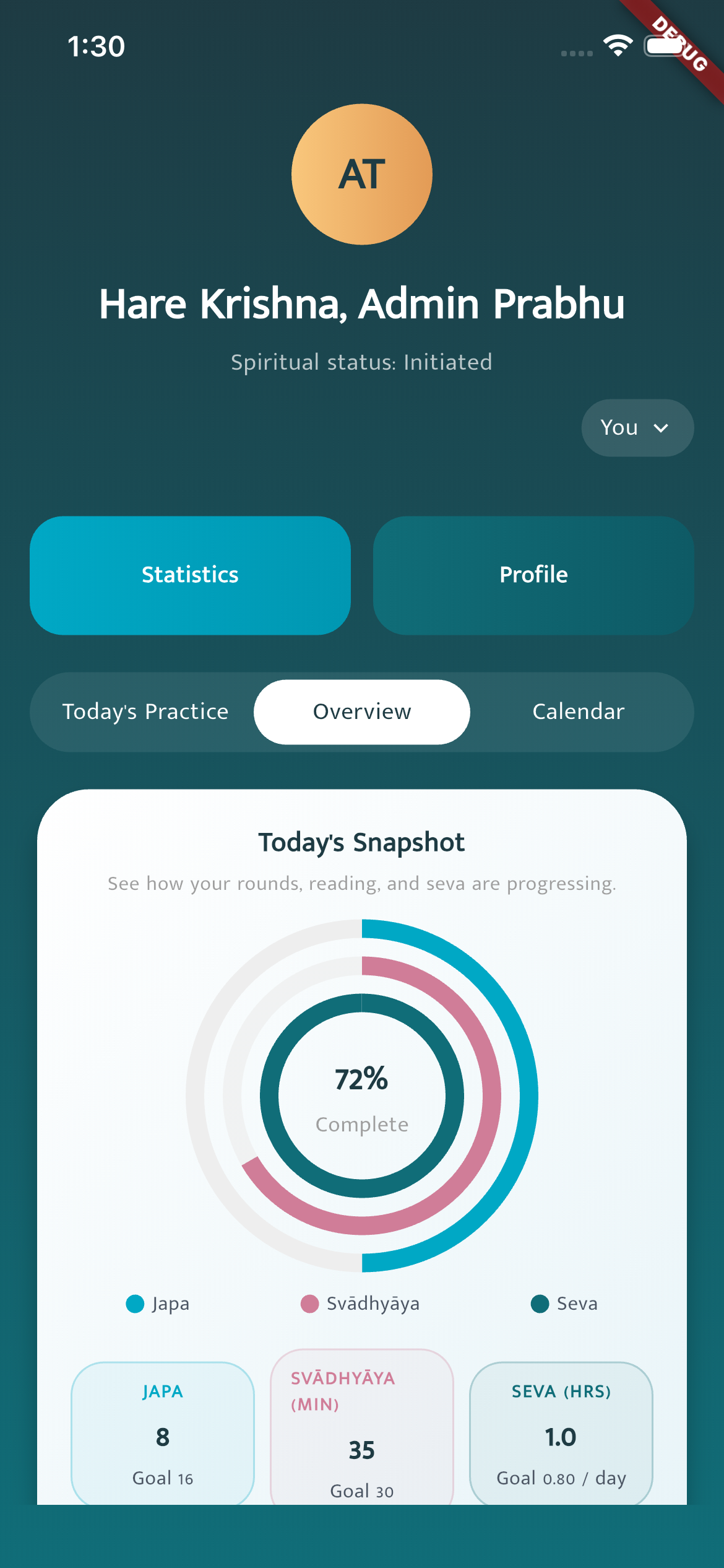 Overview snapshot with rings